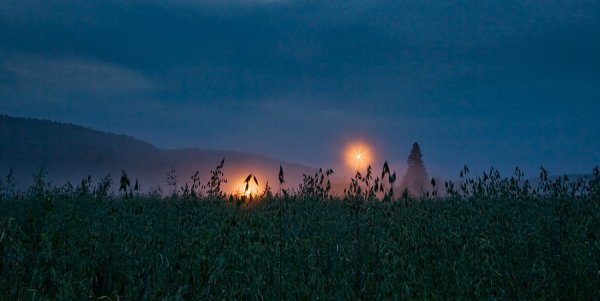 Огни Святого Эльма атмосферное явление
