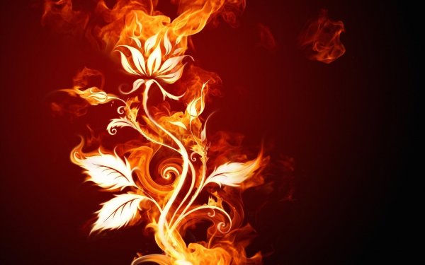 Огонь на черном фоне