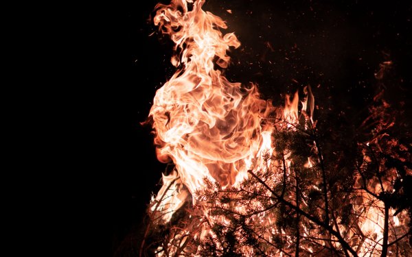 Огонь в камине