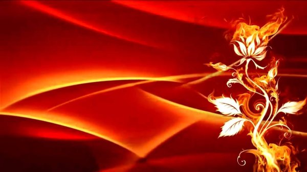 Пламенный цветок