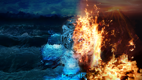 Огонь и вода животные