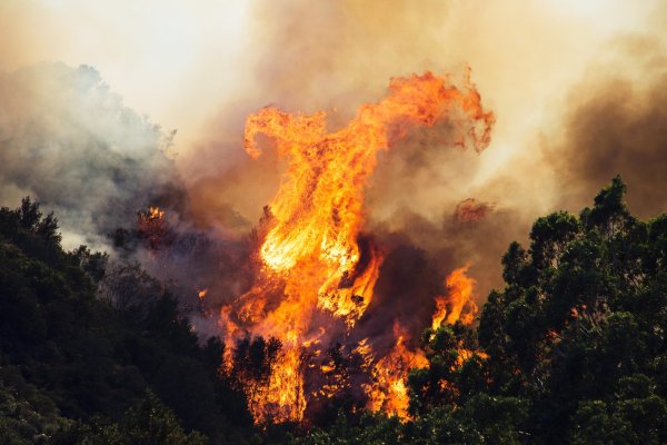 Лесной Огненный смерч