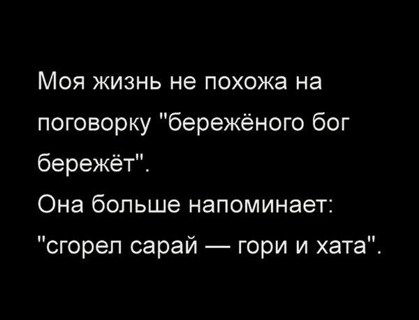 Моя жизнь не похожа на поговорку Береженого