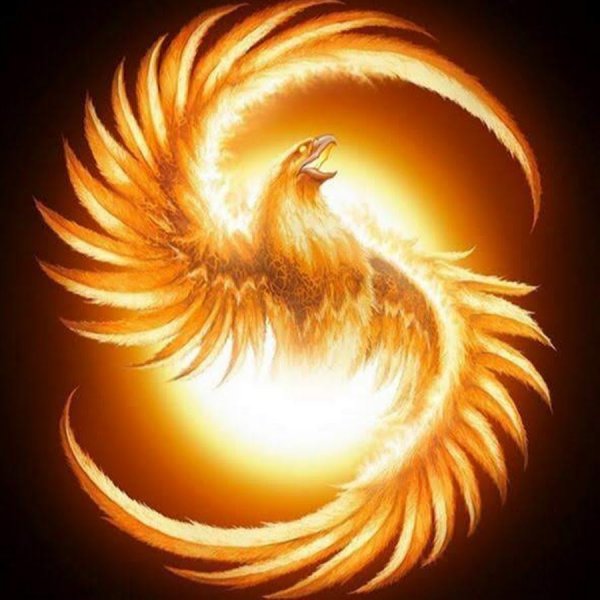 Птица Феникс Fohow