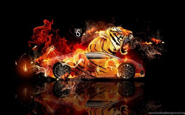 Огненный тигр