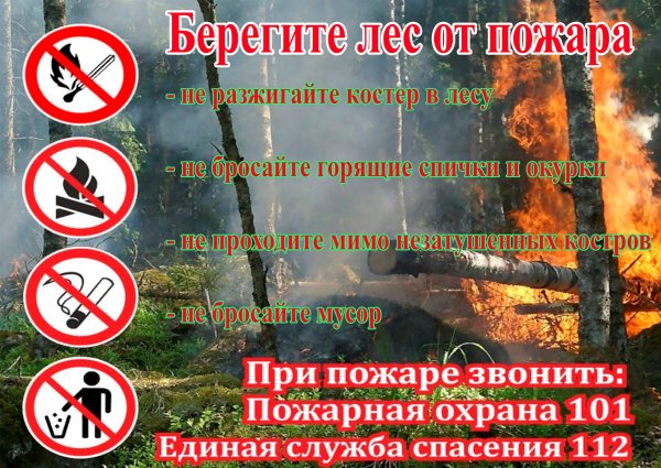 Профилактика пожаров в лесу