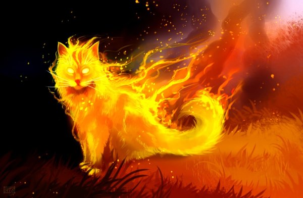 Коты Воители Огнезвёзд в огне