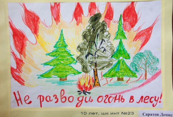 Плакат на тему спасём лес от пожара