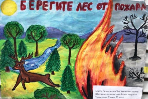 Сохраним лес от пожара рисунки на конкурс