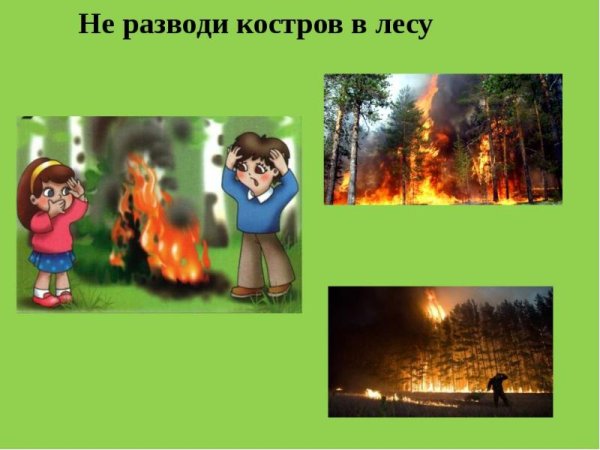 Не разжигай костер в лесу