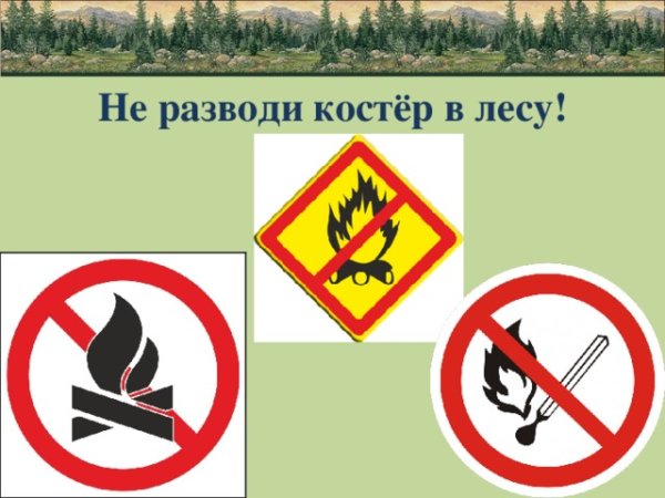 Не разжигать костер в лесу