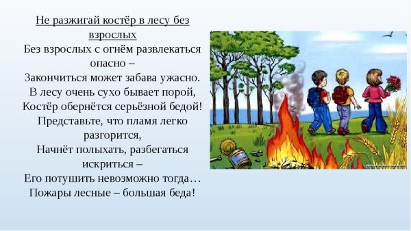 В лесу не разжигайте костер без взрослых