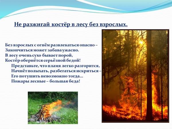 Костер в лесу