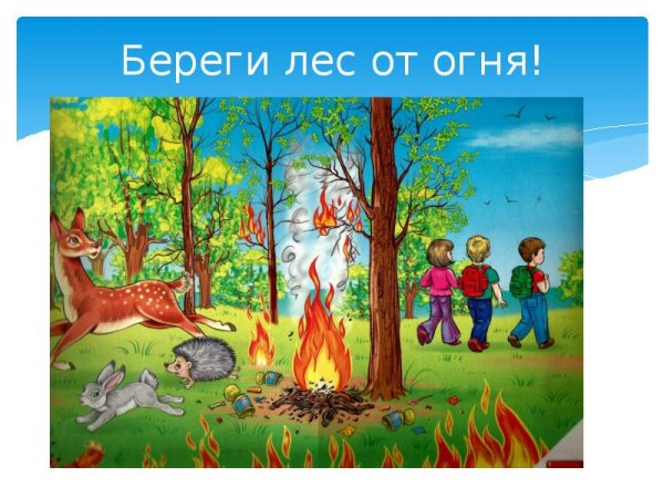 Нельзя разжигать огонь в лесу