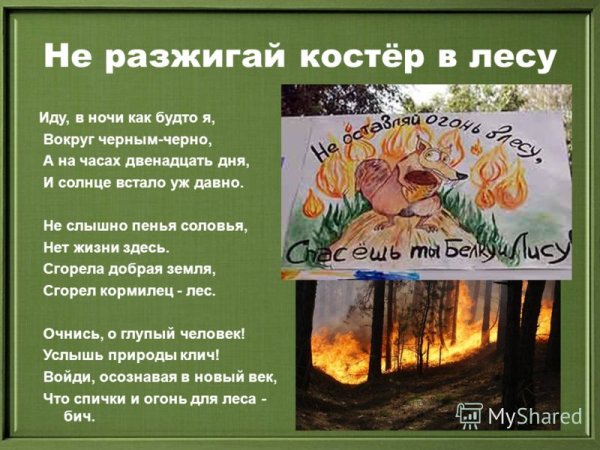 Не разжигай костер в лесу