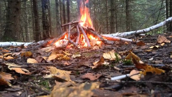 Незатушенный костер в лесу