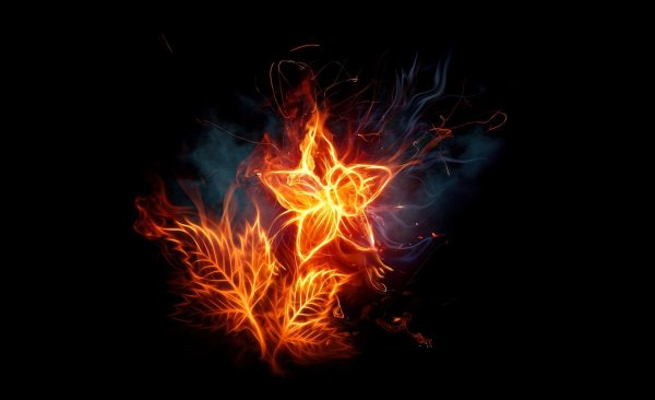 «Цветок из огня Тиамат»: Никки