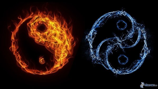 Инь Янь 4 стихии