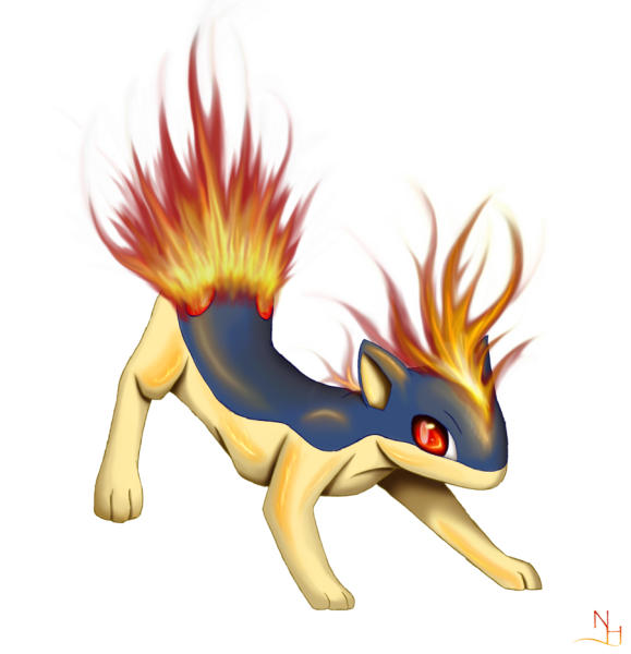 Квилава Эволюция