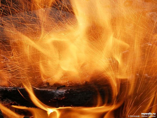 Огонь задула