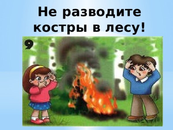 Не разжигать костер в лесу