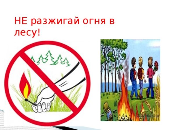 Не разжигай костер в лесу памятка