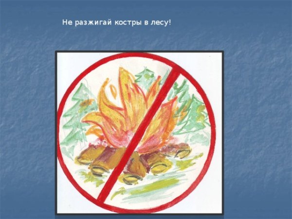 Нельзя разжигать костёр в лесу