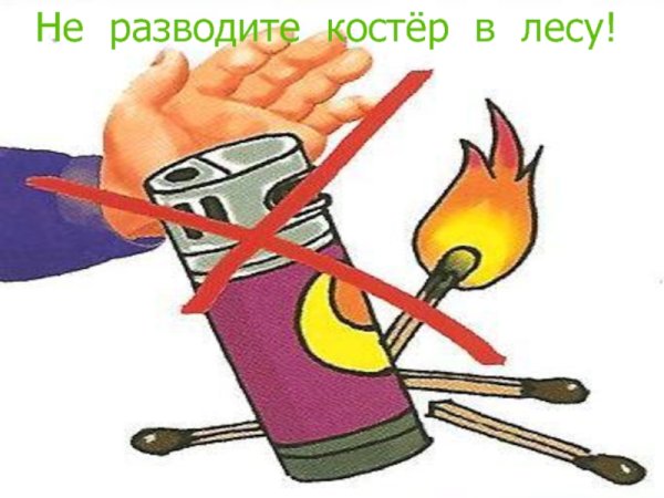 Рисунок не разводи костер в лесу