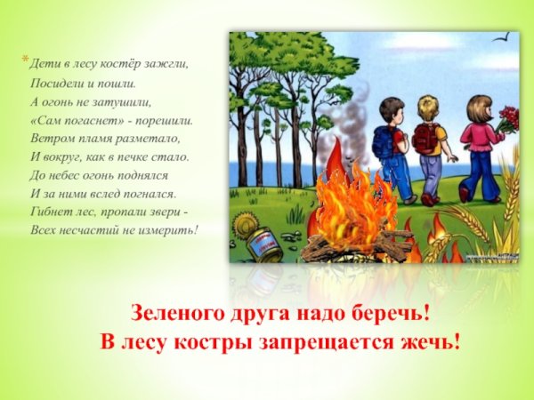 Не разжигайте огонь в лесу