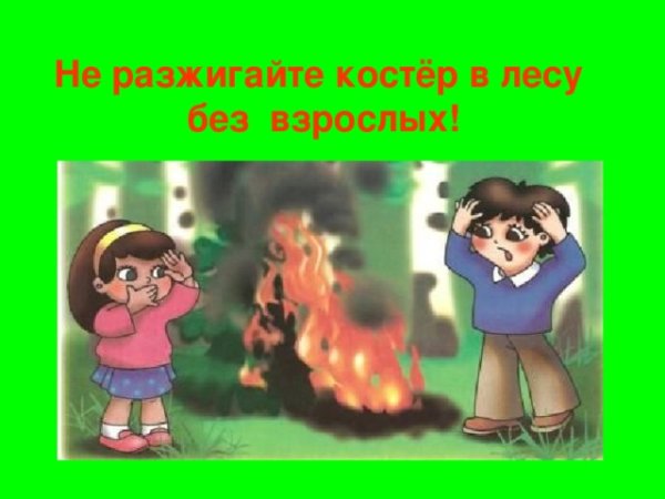 Не разжигать костер в лесу