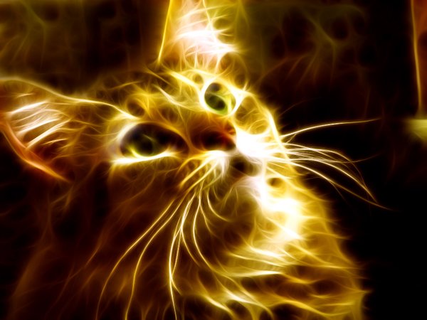 Огненная кошка
