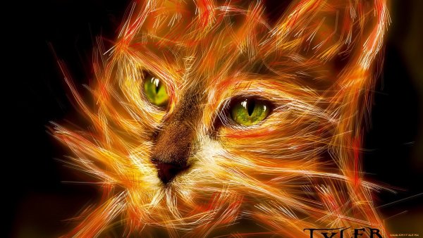 Огненные коты Воители