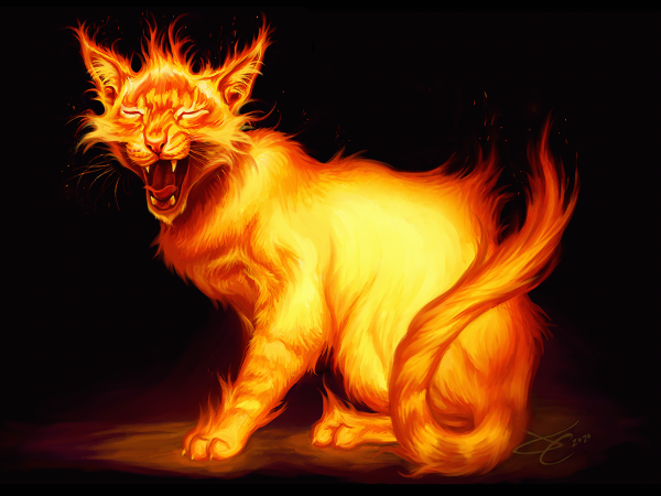 Коты Воители Огненный кот