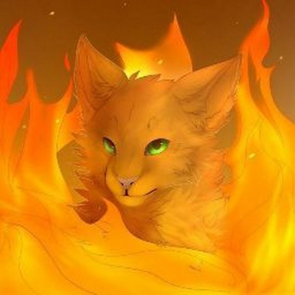 Коты Воители Огненезвёзд