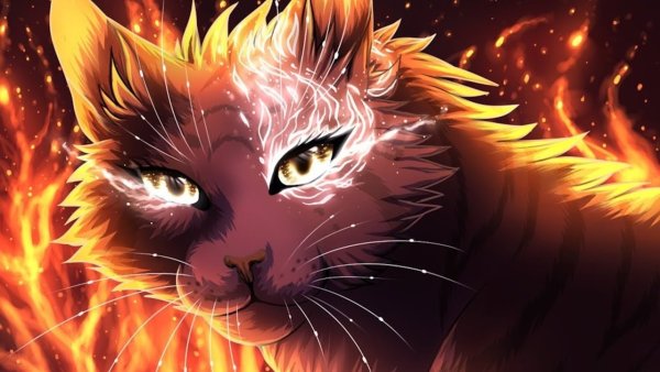 Коты Воители Огненный кот