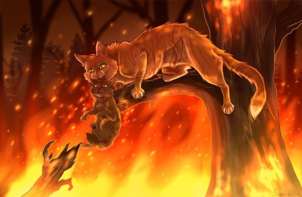 Коты Воители огонь