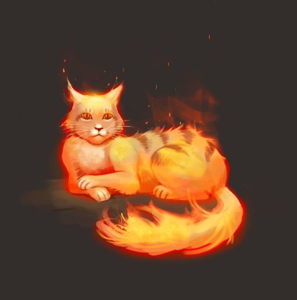 Кот в огне