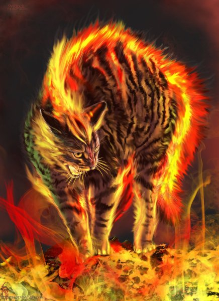 Коты Воители Огнезвёзд-Огненный кот