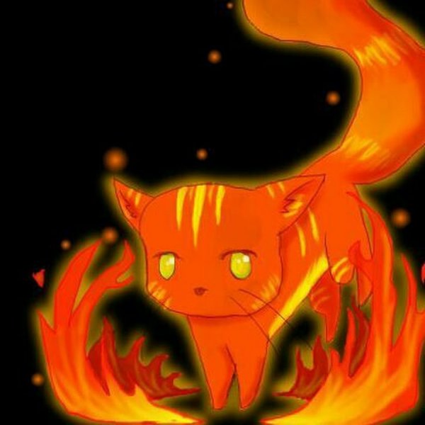 Огненный кот