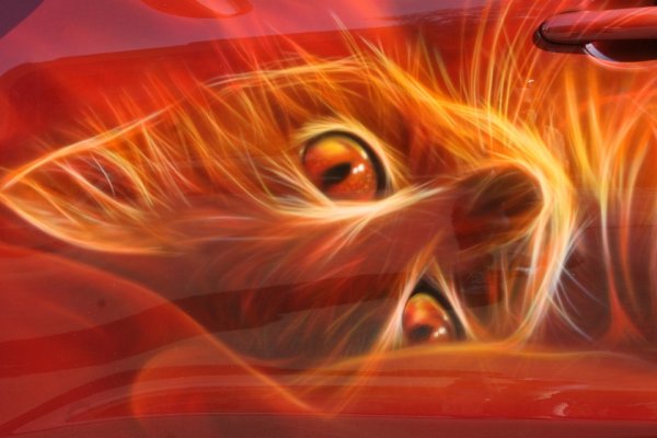 Огненная кошка фэнтези