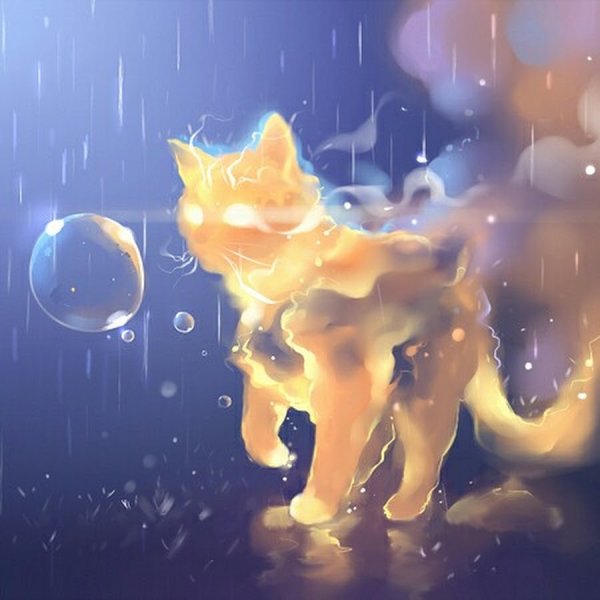Кот огонь арт