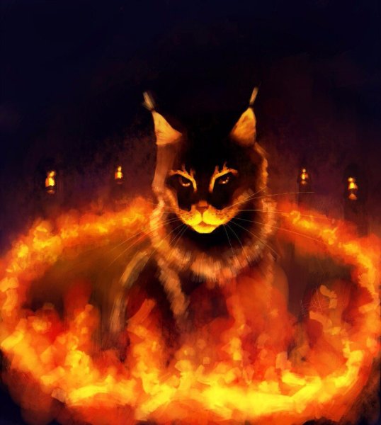 Кот дьявол