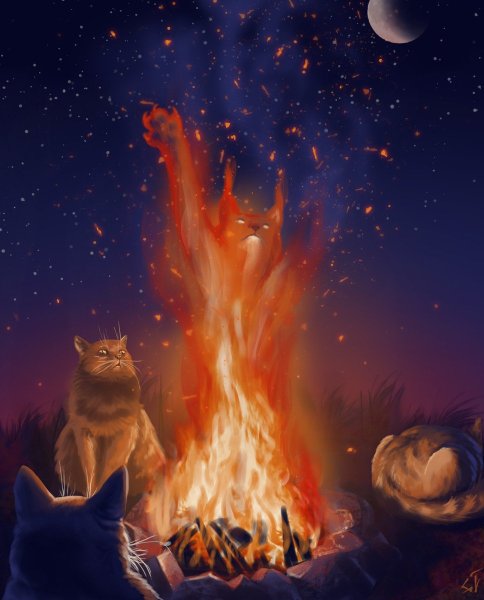 Огненный кот
