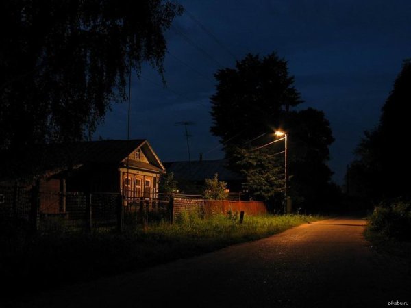 Дерево ночью