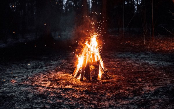Костер фон