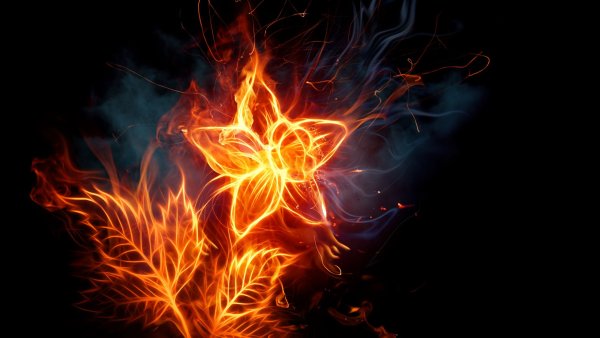 «Цветок из огня Тиамат»: Никки