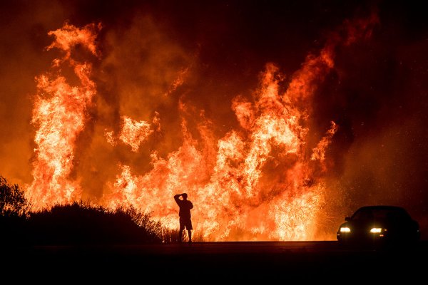 Стихийные бедствия Лесные пожары