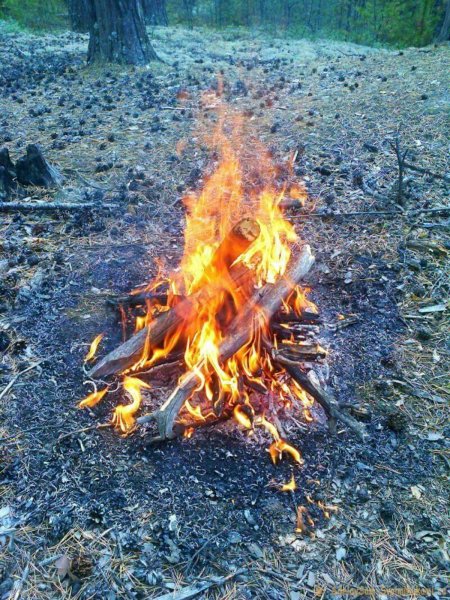 Огонь костер лес