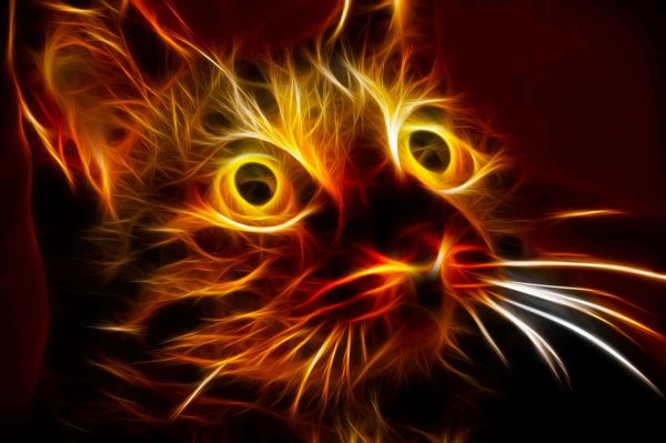 Огненный кот арт