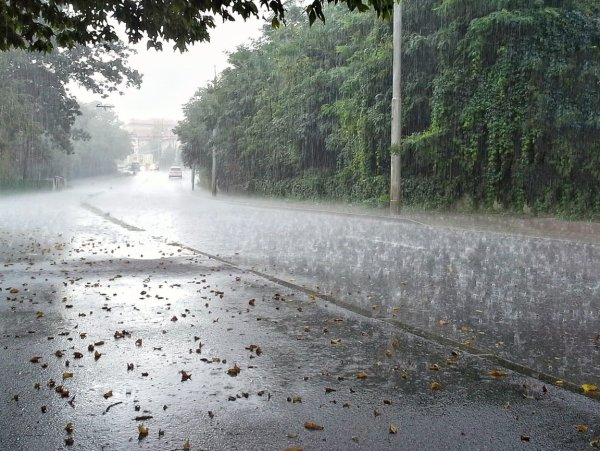 Дождливый день